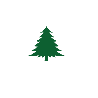 NewbieSoldier's emblem