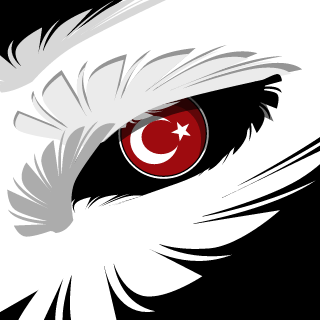 16KaraKartal's emblem