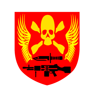 Death Trooper24's emblem