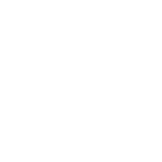 diffeNTASO's emblem