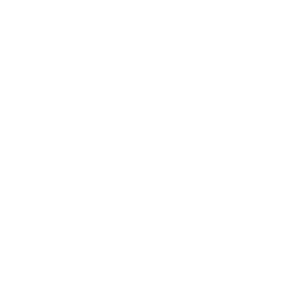 DRYVER_154's emblem