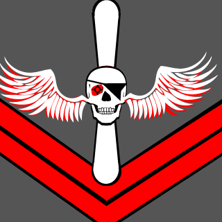 MHAWK666's emblem