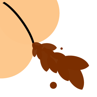 kgs24's emblem