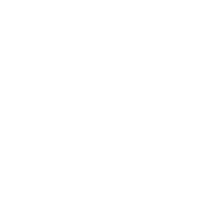 IgorCosttaa's emblem