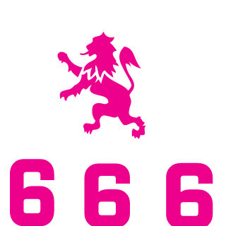 RayStorm21's emblem