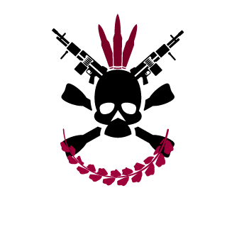 DreamToo's emblem