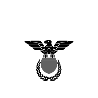 LL30SVK's emblem