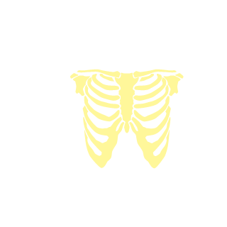 d7f23aad385a638a's emblem