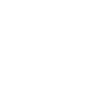 ManDimeSpecial's emblem