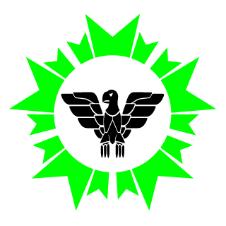 SteelSoldierPL's emblem