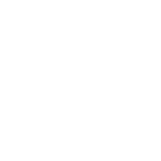 salamanderman_x's emblem