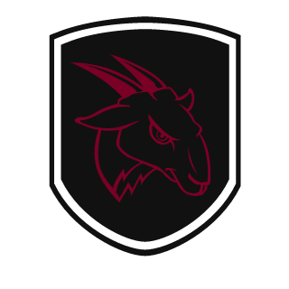 MrVintoz's emblem