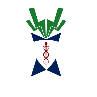 2MADBUG's emblem