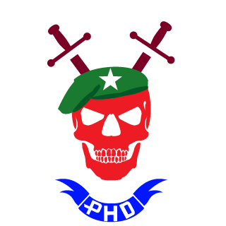 mr_PHD_DZ's emblem