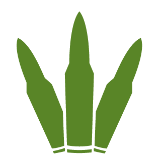 amsterdam12's emblem