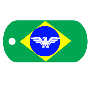 zGustavoC98's emblem