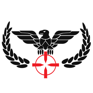 ggys45's emblem