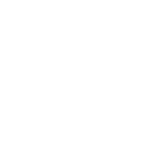 brrrtboi's emblem