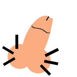 pletiplex's emblem