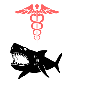 HeLi_Mizeravi's emblem