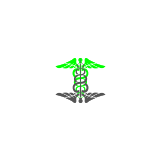 KingCalle1995's emblem