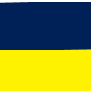 Nomad-zed's emblem