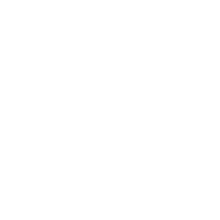 RudiDieWalze's emblem