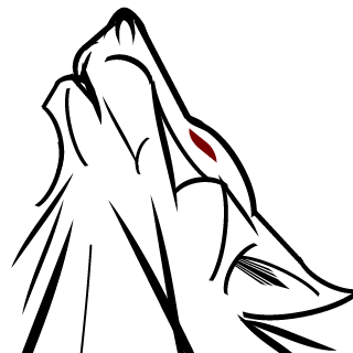 Anubis2095's emblem