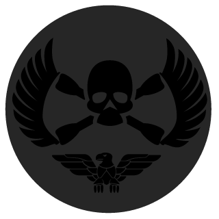 NoodlesTips_YT's emblem