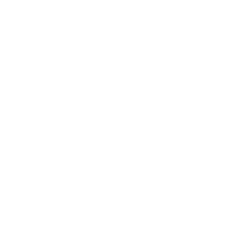OfficialFizz's emblem