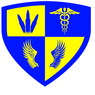 1SgtDwarf's emblem