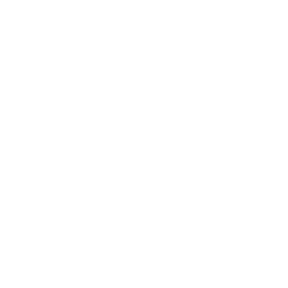 Baciliuuu9313's emblem