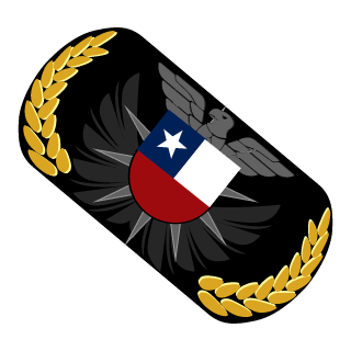 MartinMedTemuco's emblem