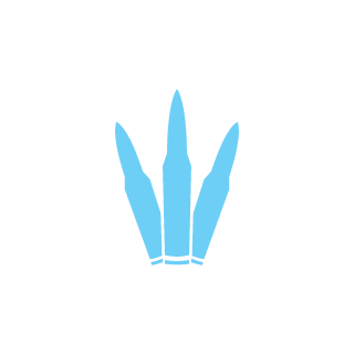 zeetah5's emblem