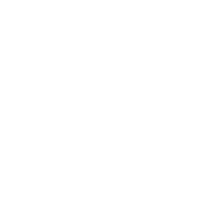 TdkZica's emblem