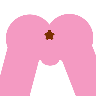 DeepyS-_-S's emblem