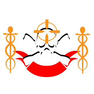 m1thAmirIndiano's emblem