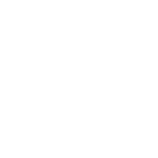 jboy55's emblem