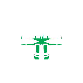 FlatTolbachik's emblem