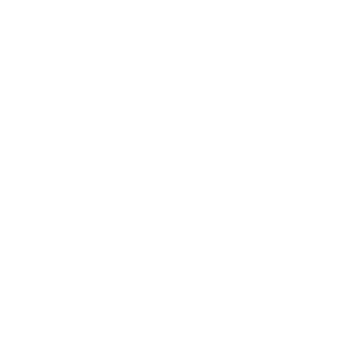 BeeTee451's emblem