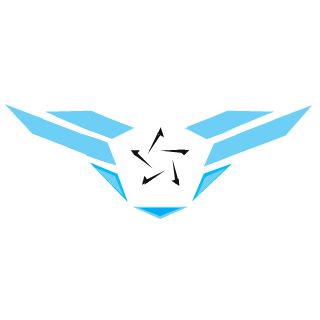 ChoiKatz Gaming's emblem