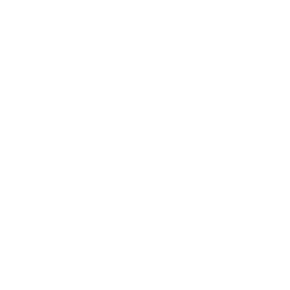 12scc's emblem