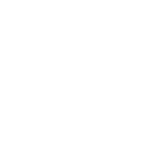 d534945's emblem