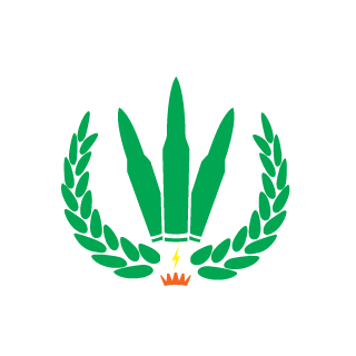 Rayn1r_x's emblem