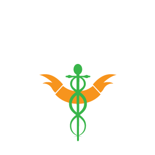 20hasi3's emblem