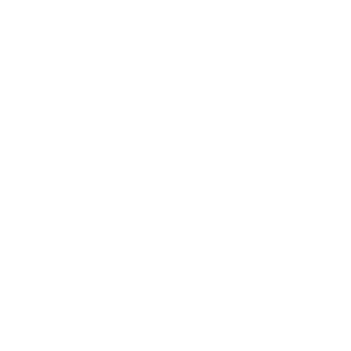 feindbild's emblem