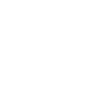 skybuddy5's emblem
