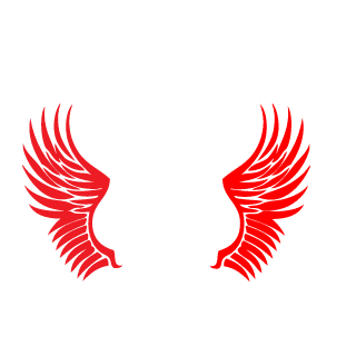 Kwiot1990's emblem
