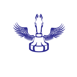 Steini772's emblem