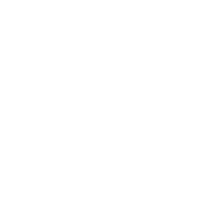 hagsternator's emblem